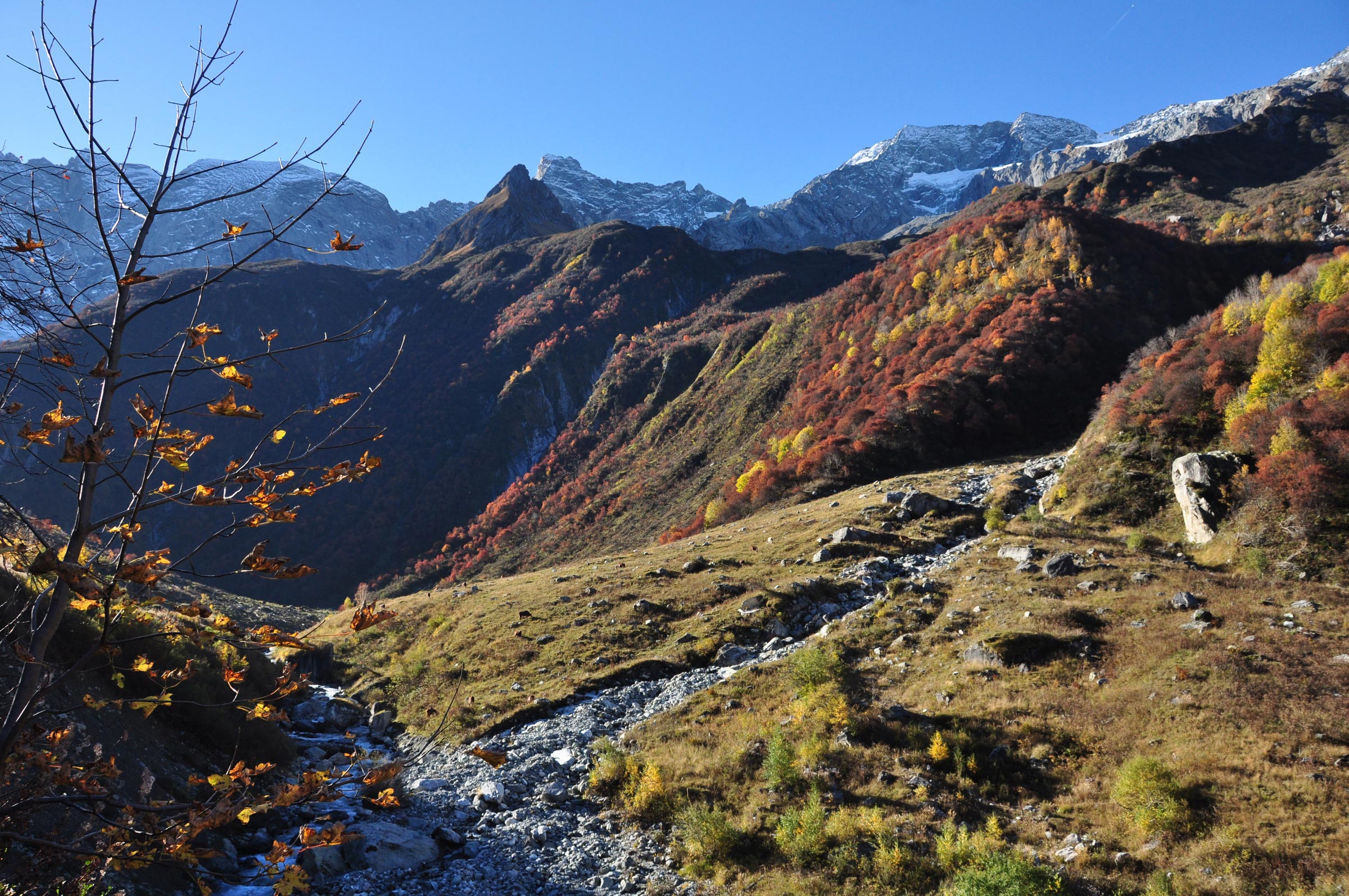 Le Laisonnay, Savoie